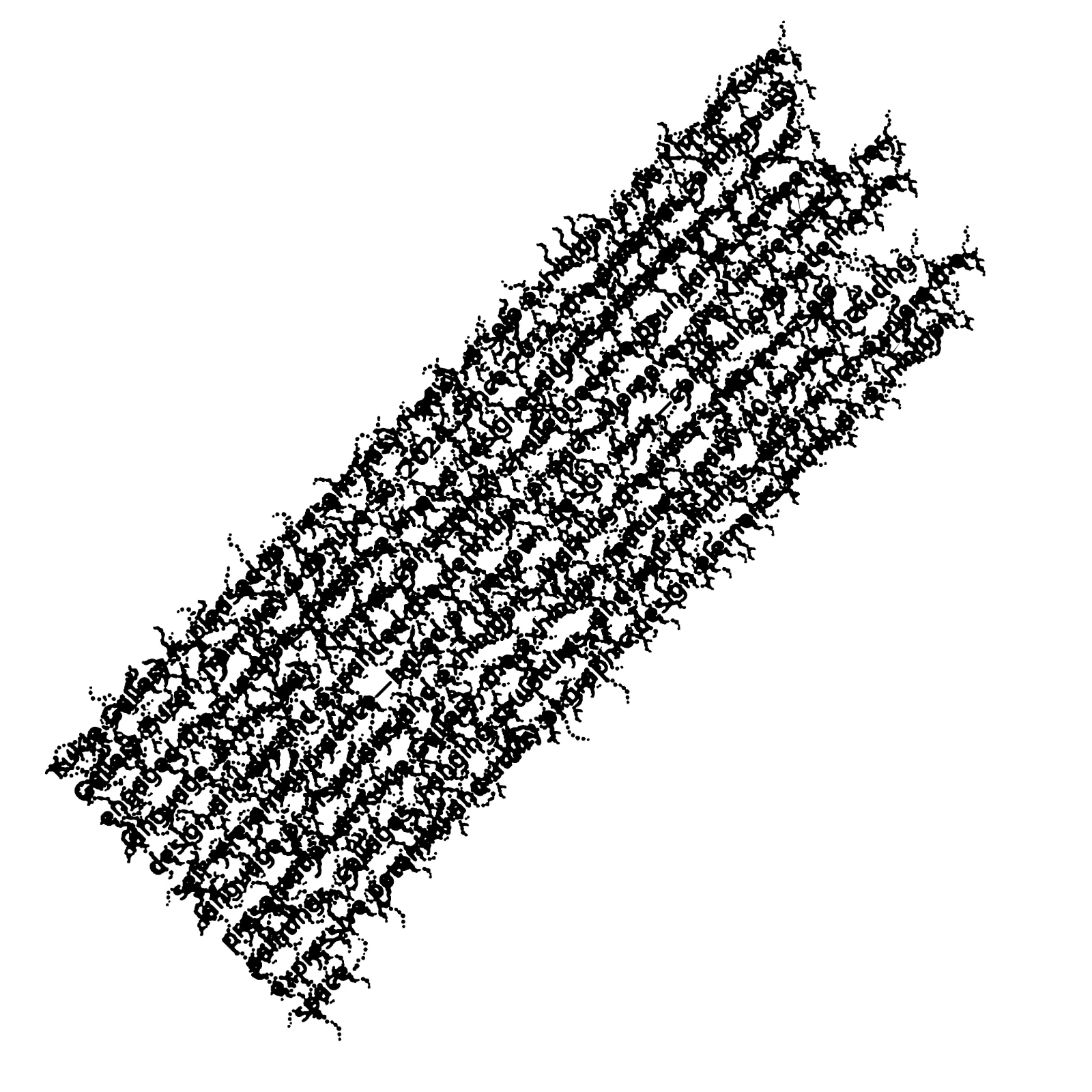 var-04