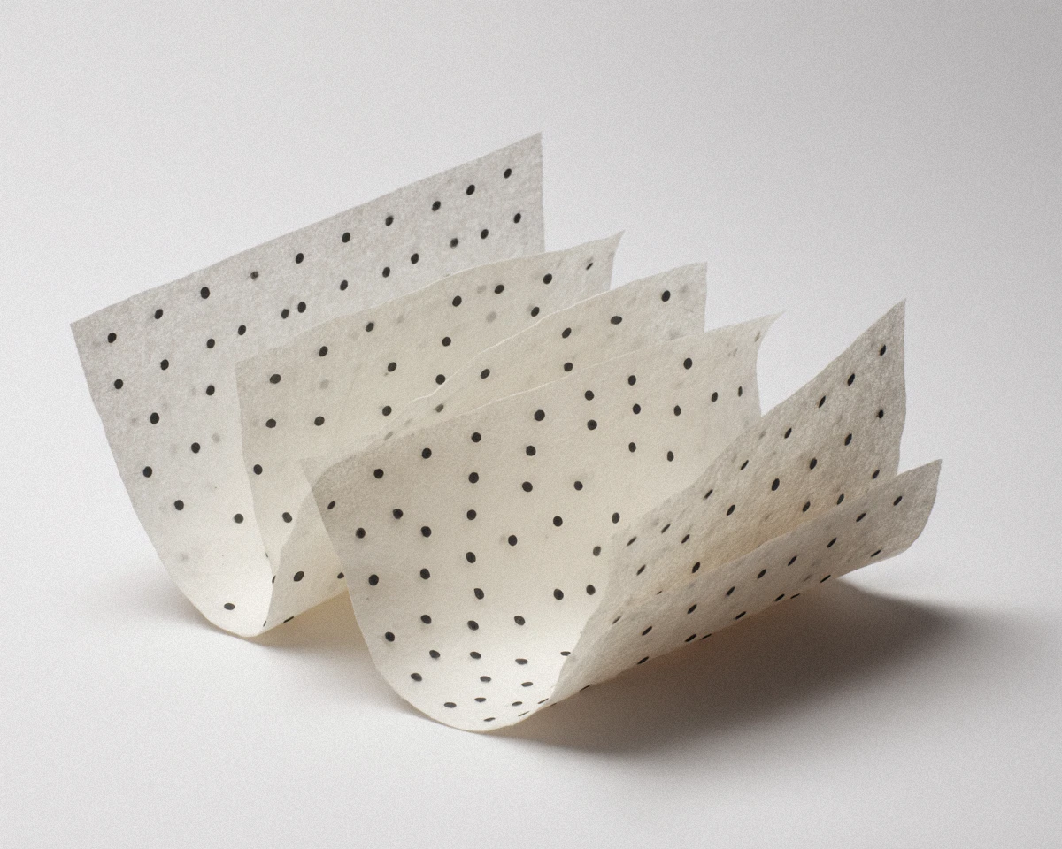 mainaccessdoor_35807_a_paper_sculpture_with_black_dots_on_a_whi_4f14ad81-3bcb-4bf5-9b26-e734734a1192 copy